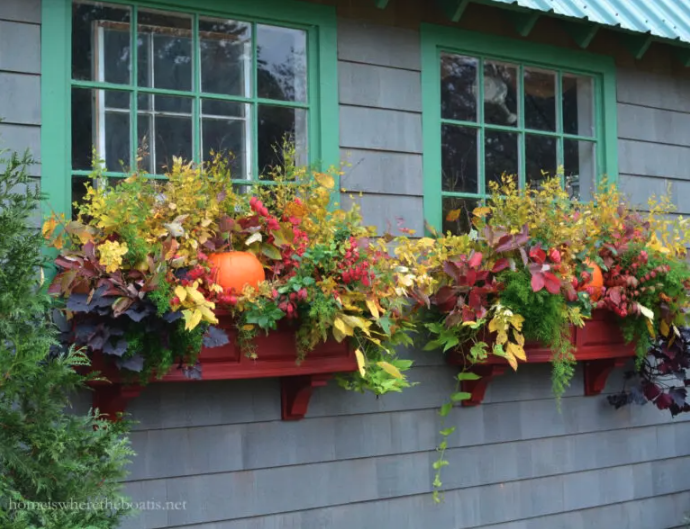 Fall Season